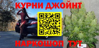 мдпв Кимры