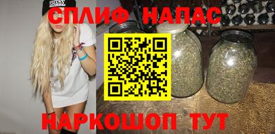 мдпв Кимры