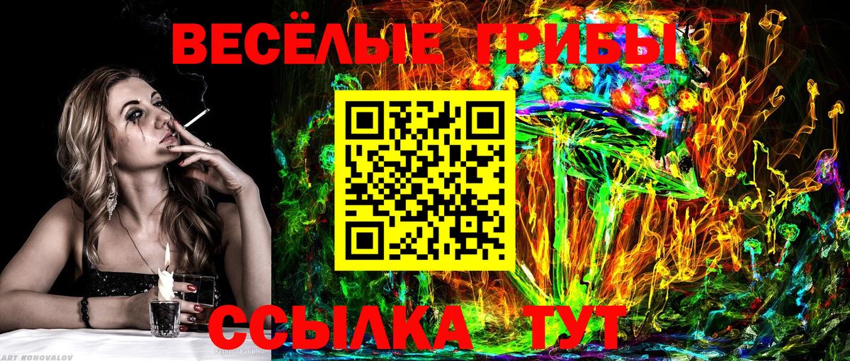 Галлюциногенные грибы Psilocybine cubensis  Псилоцибиновые грибы Psilocybe  наркота  Вход с VPN  Сергиев Посад 