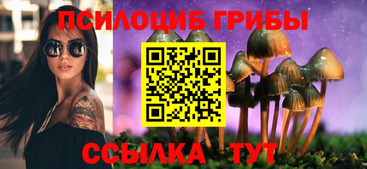 Галлюциногенные грибы прущие грибы Сергиев Посад